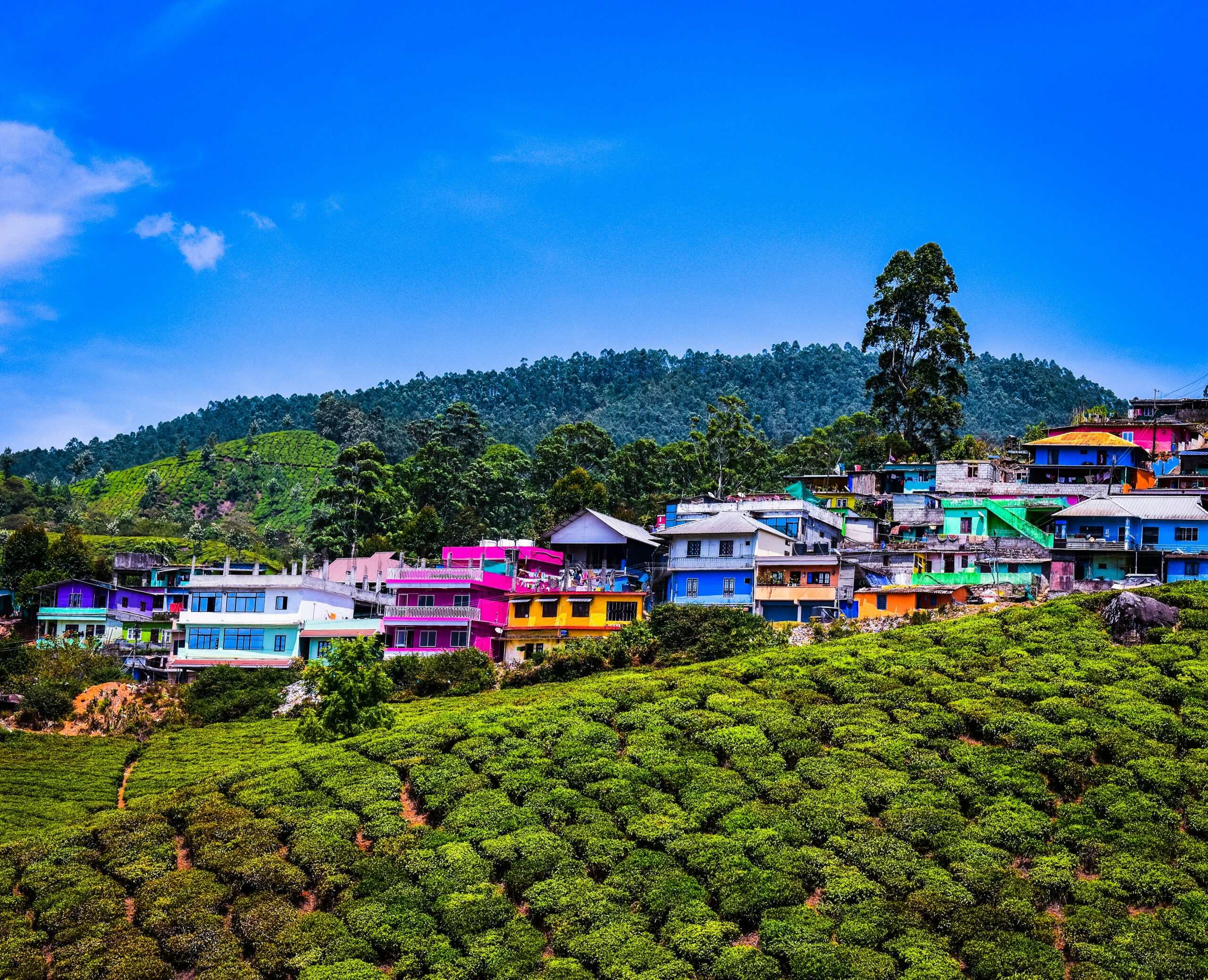 gaurav-kumar-lJgUTYYrCy4-unsplash